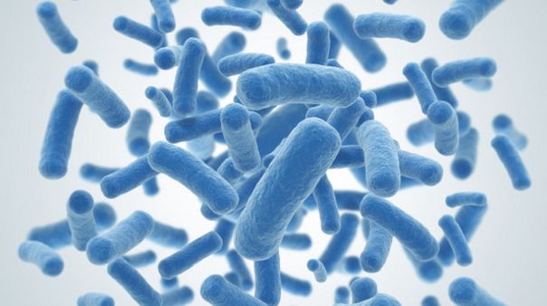 中美联合临床生物标志物检测技术与研究进展培训班 微生物专场