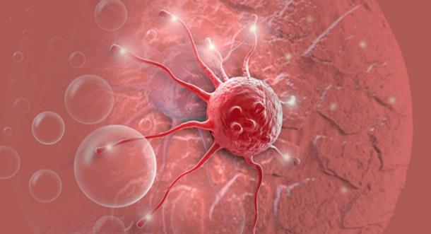 Science:超过半数癌症发生竟因”倒霉”！重磅研究为癌症预防开辟新道路