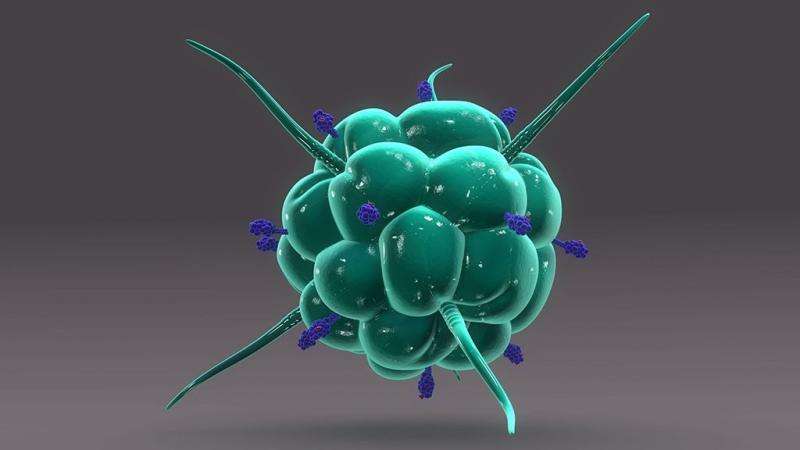 Nature：聚焦巨噬细胞！PD-1/PD-L1免疫疗法的另一把“刷子”！