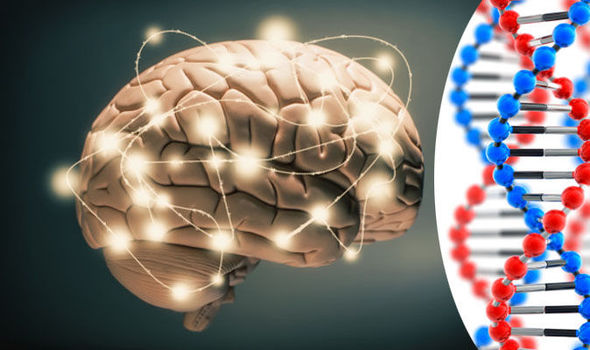 新研究 | 五成智力靠遗传？高智商易患自闭症？