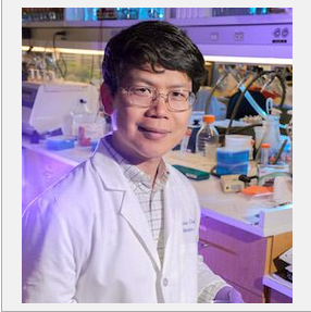 DNA传感器通过响应意想不到的DNA形式在癌症免疫治疗中起关键作用