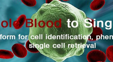 首次发现：外周血中异倍体循环血管内皮细胞CEC