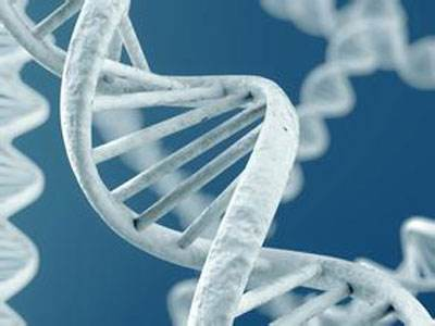 【重要】第四届全国功能基因组学高峰论坛会议日程公布！ 