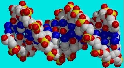 Cell：揭秘蛋白降解系统，弥补CRISPR技术！