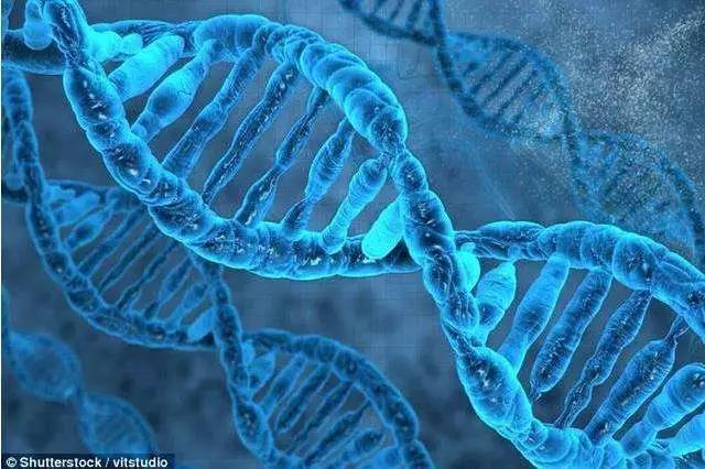 全新CRISPR基因编辑技术！同时实现基因激活、干扰及删除！