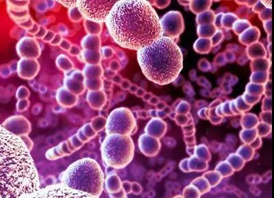 3篇《Science》、1篇《Nature》，肠道菌群近期4篇连发，癌症、测序都相关！