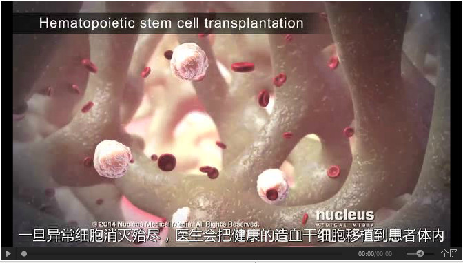 一个小视频，看完干细胞基础知识全解决！