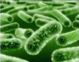 《Nature》&《Science Advances》微生物两连发：你的选择决定了你体内的微生物