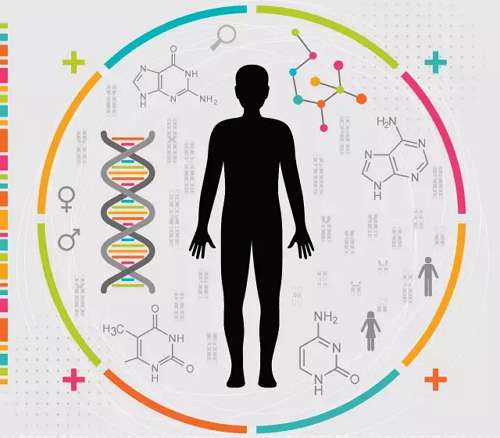 【39】基因治疗行业深度报告:从癌症到罕见遗传病