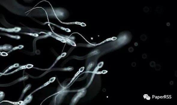 新CRISPR技术可修复精子缺陷,完美婴儿越来越近