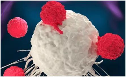 Nature:无需病毒载体,利用电穿孔成功对人T细胞进行CRISPR基因编辑