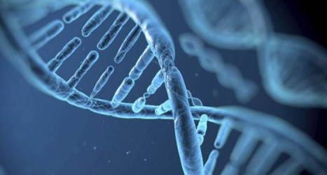 基因编辑人类胚胎“伦理上可接受”