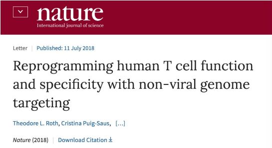 Nature发表T细胞基因编辑新方法