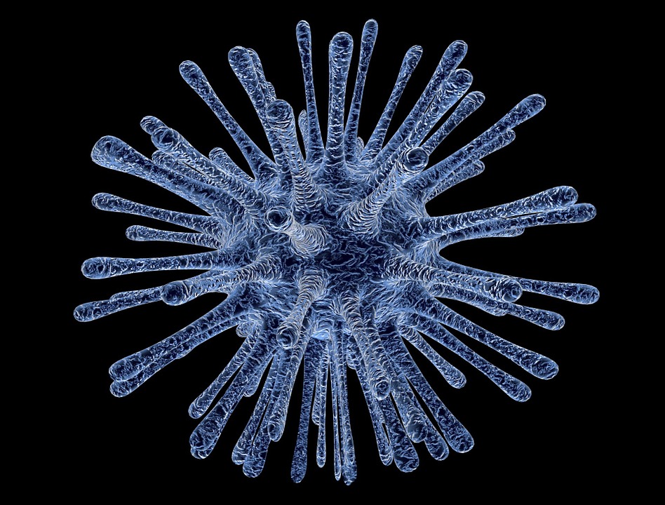 免疫细胞如何帮助有效预防和治疗多种人类疾病?