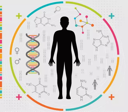 晚期NSCLC,多基因测序能否带来生存获益?