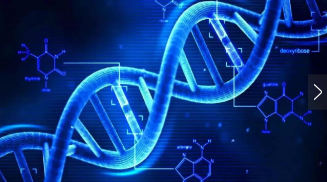 新CRISPR技术“跳过”潜在致病基因
