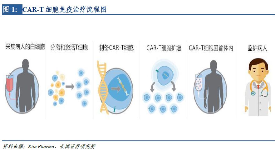 肿瘤免疫治疗新贵,国产CAR-T 进程加速