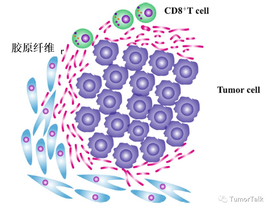 预测PD-1 / PD-L1抑制剂功效的Biomarkers(一)