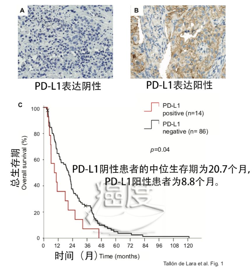 PD-1和化疗联用效果更好,但一定要注意这一点!