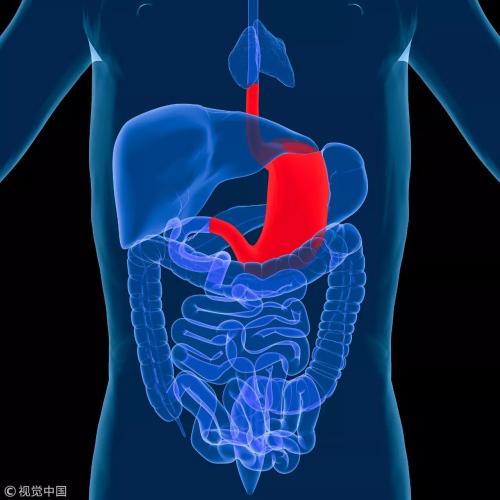 《Science》子刊：胃癌胃炎患者的福音！在不使用抗生素的情况下击溃幽门螺旋杆菌