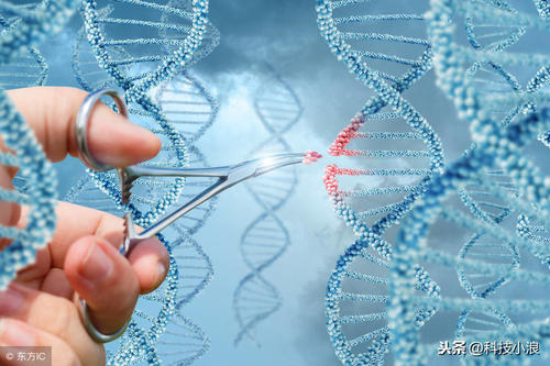 脱靶基因组编辑：基因科学和医学领域的新学科