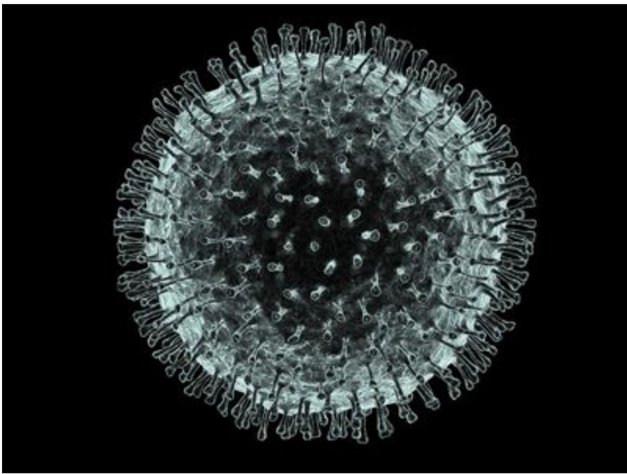 世卫组织：新型冠状病毒疫情在中国已经“达到顶峰”，但并未形成全球大流行
