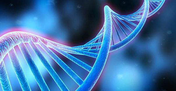 《Nature》子刊：癌细胞的“达尔文进化论”！依靠基因组倍增来不断生长！