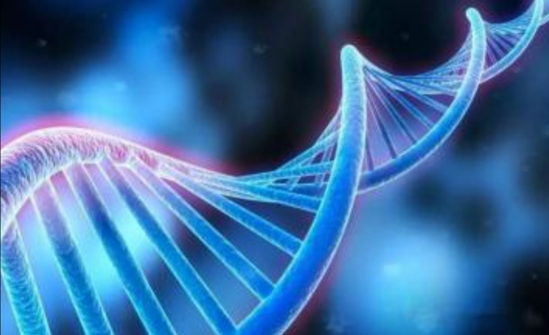 《Nature》重磅！饮酒引起的DNA损伤竟可以修复？新方法安全又高效！
