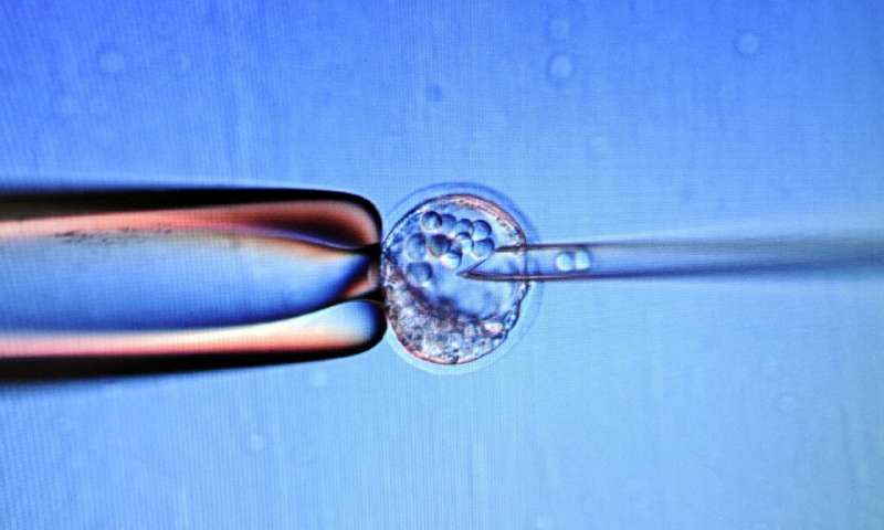 【重磅】世界首例——胚胎干细胞培养的肝细胞在日本新生儿体内移植成功了！