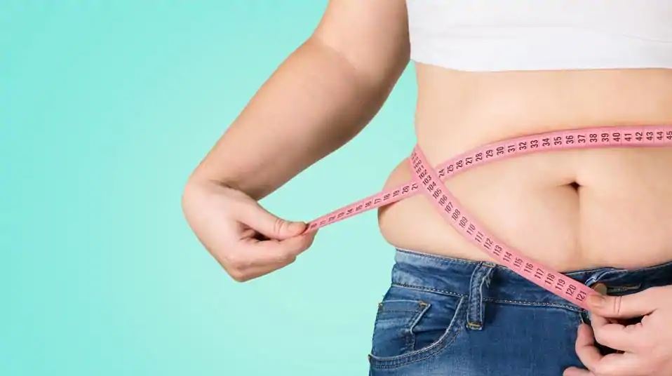【Nature子刊】新突破：变胖莫担心，“燃烧”脂肪的分子来了！不需要锻炼和节食