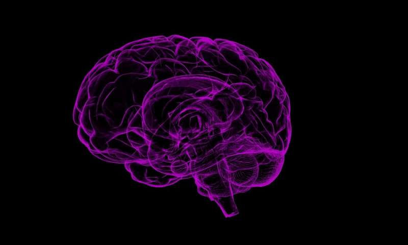 【重磅】哈佛大学权威专家：COVID-19会损害人的神经系统，引发不同程度的大脑功能损伤