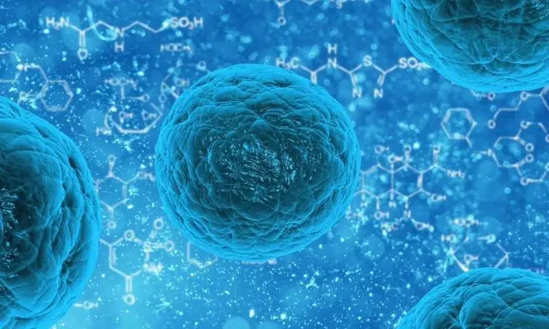 【Nature】基因工程CAR T细胞有望治疗与衰老相关的疾病