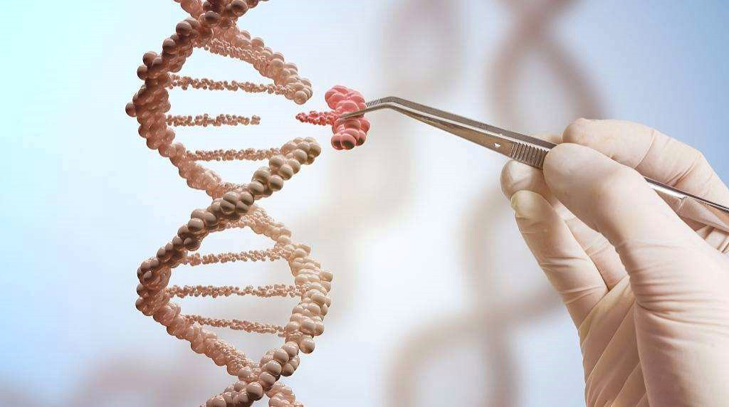 【Nature子刊】南加州大学联合10X Genomics开发新单细胞技术，揭示癌症的遗传多样性