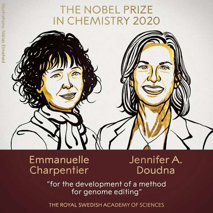 【快讯】2020诺贝尔化学奖由两位女科学家获得！
