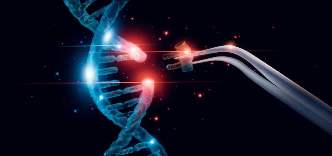 NEJM：锋芒尽显，CRISPR基因编辑人类临床试验，治愈两种遗传性贫血症