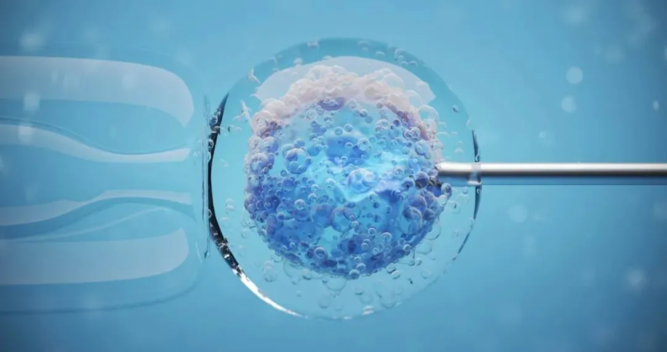 【Nature】重磅！人造卵细胞成为现实——使用转录因子重建卵母细胞转录网络