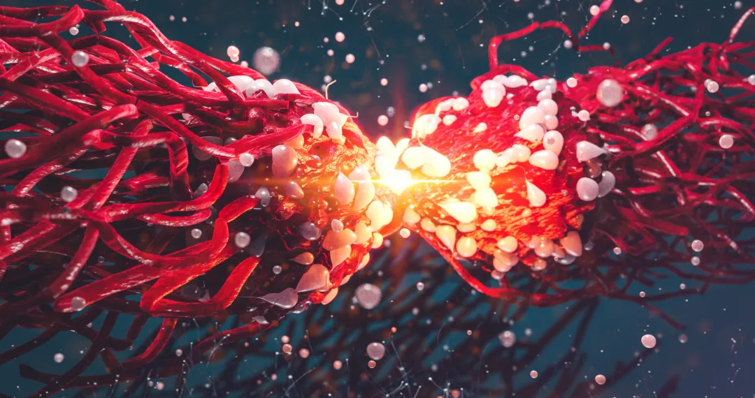 【Nature】破碎的染色体为何会使癌细胞产生耐药性？