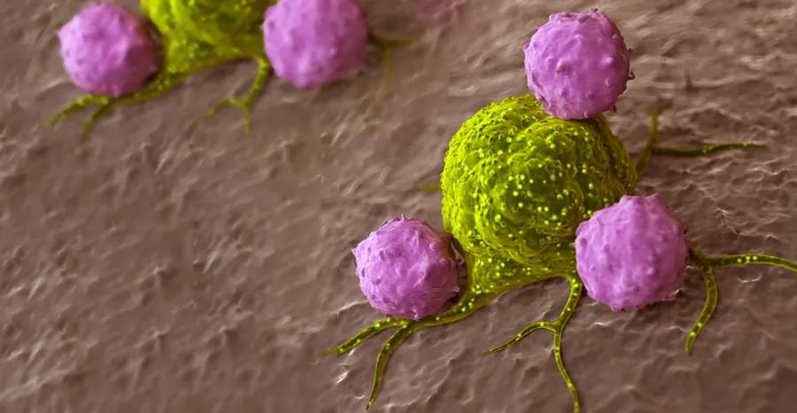 聚焦T细胞治疗研究，如何获得更高的基因导入效率？