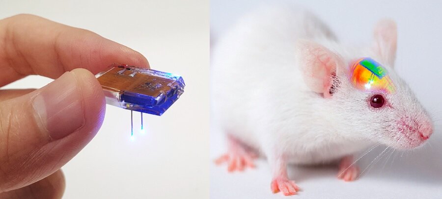 【Nature子刊】升级版！微小无线充电皮下植入物可随时监控大脑，不需要更换电池！