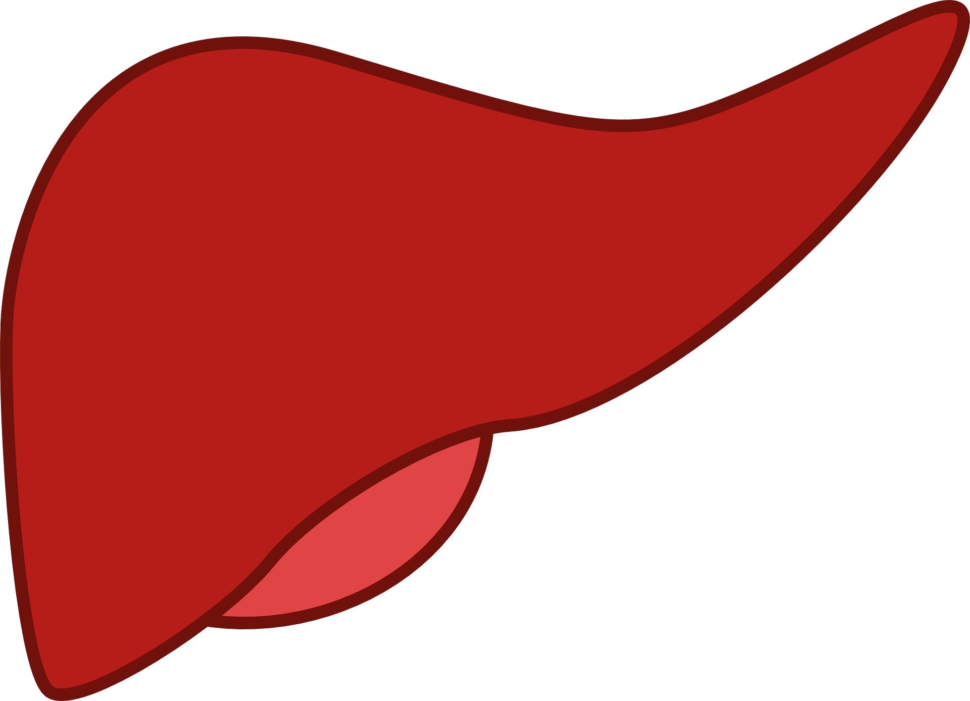 【Science背靠背】肝移植等待不再绝望！剑桥科学家利用胆管类器官，成功修复受损肝脏