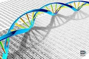 【Science】科学家发现人类基因组测序新成果，有望推动对人类疾病的研究！