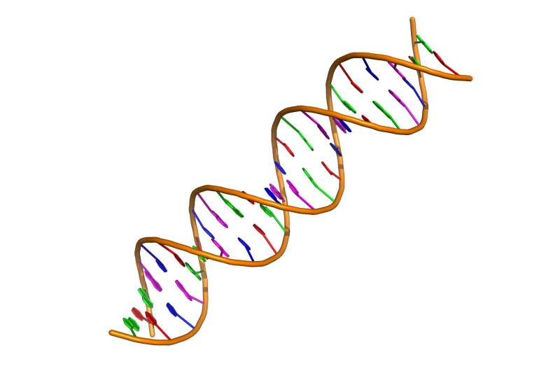 【Nature子刊】突破发现：几十年来一直被忽视，它竟然能提高肠癌患者的生存率