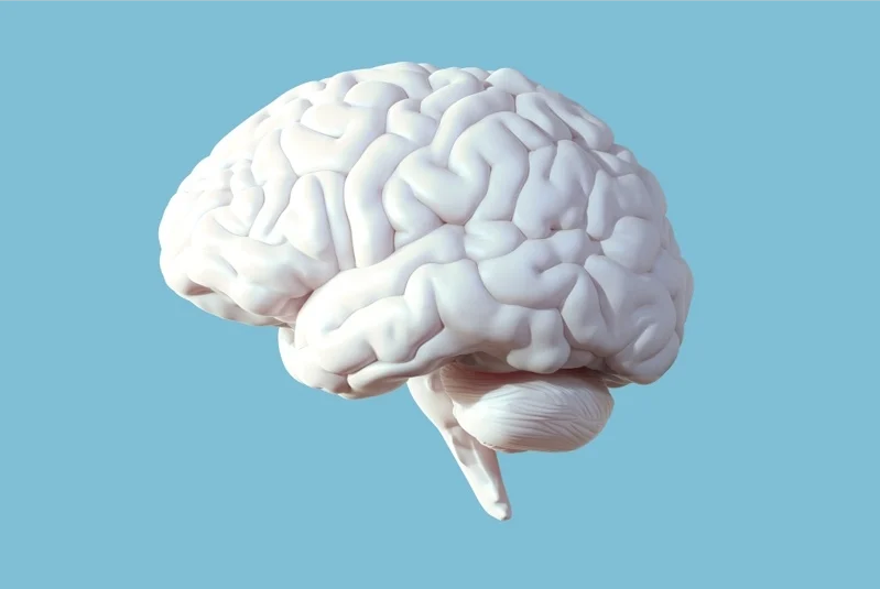 【快讯】FDA批准首个脑机接口用于中风康复