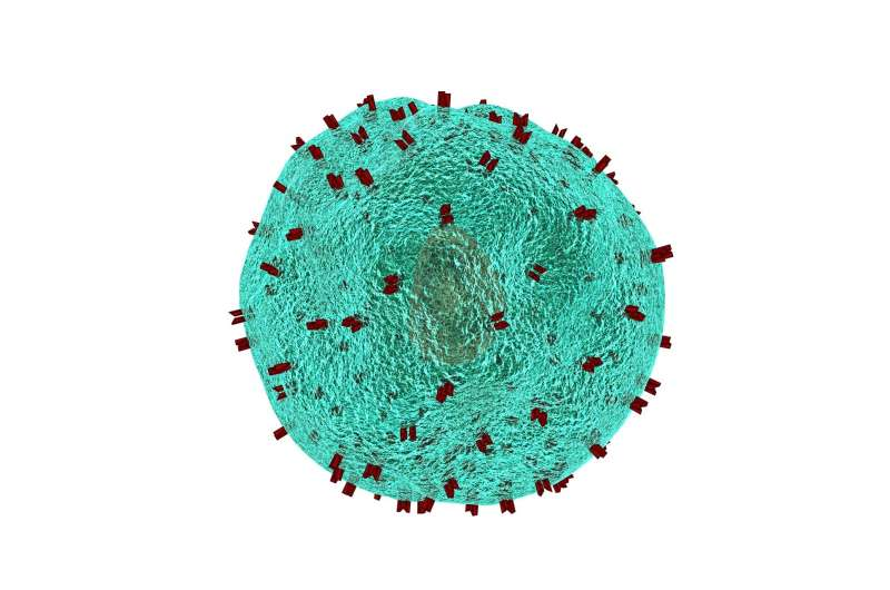 【新研究】“坏脂肪”抑制杀伤性T细胞攻击癌症，引导科学家开发出新的抗癌疗法