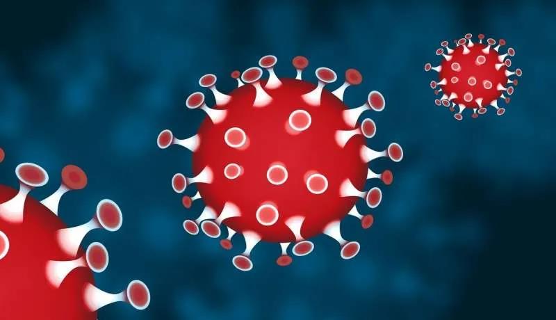【进展】“杀手”T 细胞“训练场”！腺病毒疫苗背后强大的免疫系统
