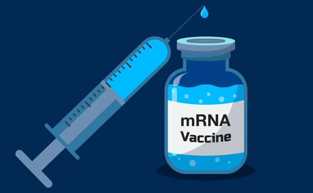 【研究】后起之秀——被忽视的mRNA疫苗的强大力量！