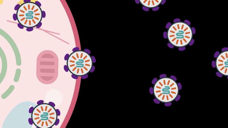 【Science】颠覆！张锋团队突破基因疗法，利用人类蛋白质向细胞递送分子药物