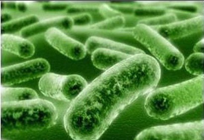 【Genome Medicine】迄今为止首个将肠道微生物数据用于类风湿性关节炎的预后研究，有望成为未来治疗的关键！