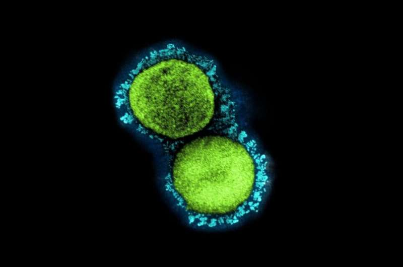【Cell子刊】COVID-19笼罩下，竞相开发的干细胞疗法真的有效吗？可能还缺乏一定的临床试验和科学证明