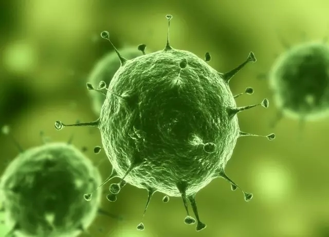 【Science子刊】中科院田志刚院士团队发现天然免疫细胞和抗肿瘤免疫的一个新检查点分子
